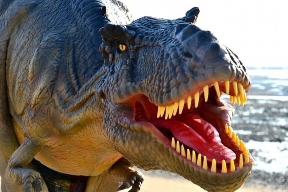 ‘Roarsome’ family fun in Altrincham this Easter