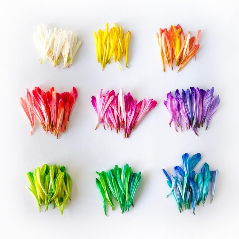 How To Phrase No Boxed Gifts In 4 Ways Amaliah