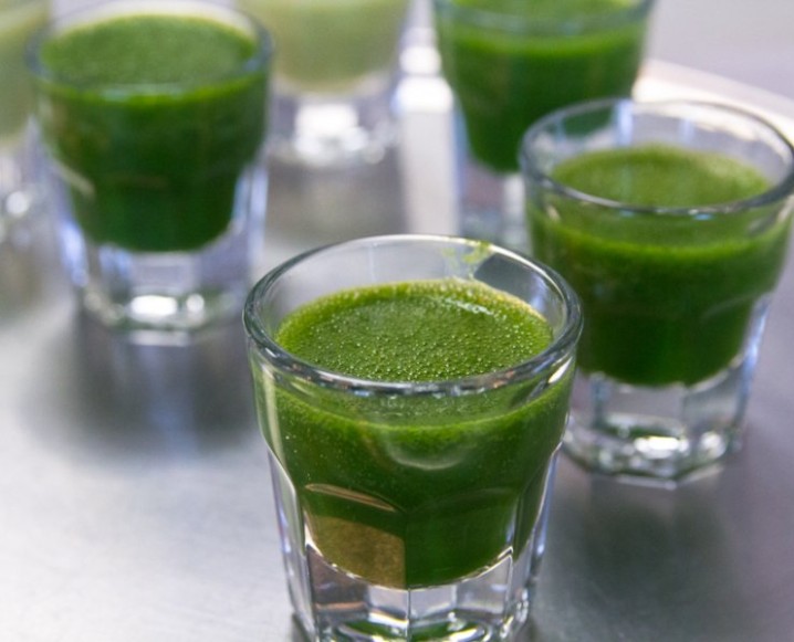 wheatgrass-foodrepubliccom-718x581c