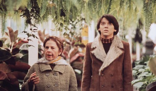 Harold & Maude