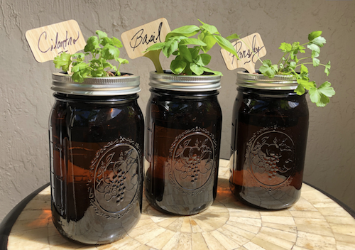 A little mason jar herb garden for your window sill like this one from Etsy to remind us things are still growing