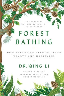 Forest Bathing