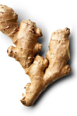 Ginger