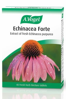 Echinacea Vitamins