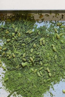 Matcha from Alfred 