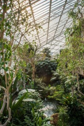 Tropical plants that I have ordered off Etsy,and then install into our garden. (Best part about living in Florida!)