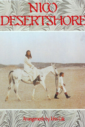 Desert Shore