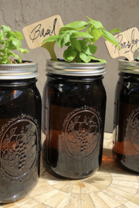 A little mason jar herb garden for your window sill like this one from Etsy to remind us things are still growing