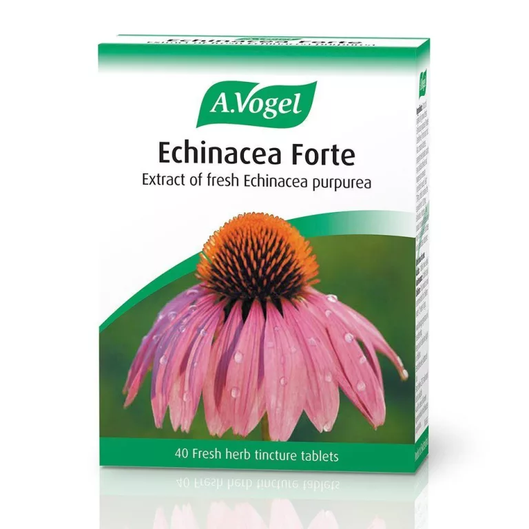 Echinacea Vitamins