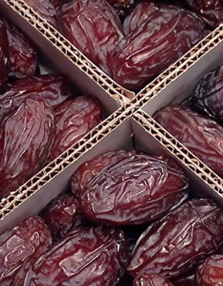 Medjool Dates