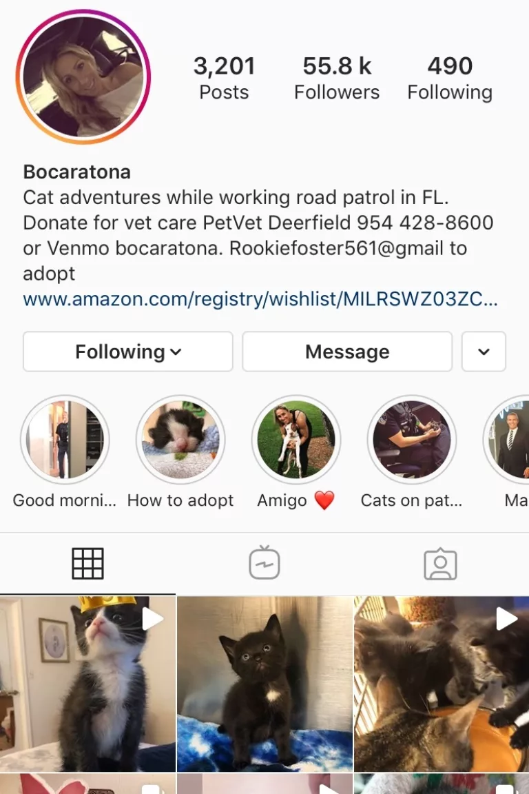 She’s a Miami cop who rescues cats and finds them homes and I Love Her