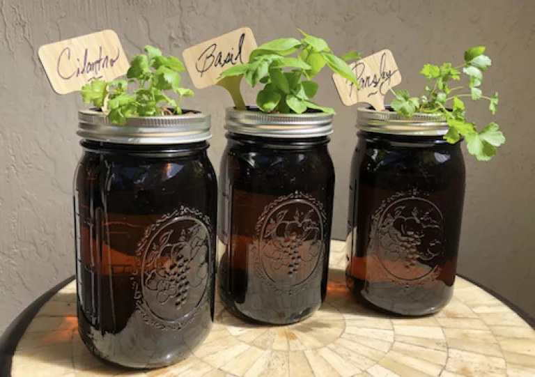 A little mason jar herb garden for your window sill like this one from Etsy to remind us things are still growing