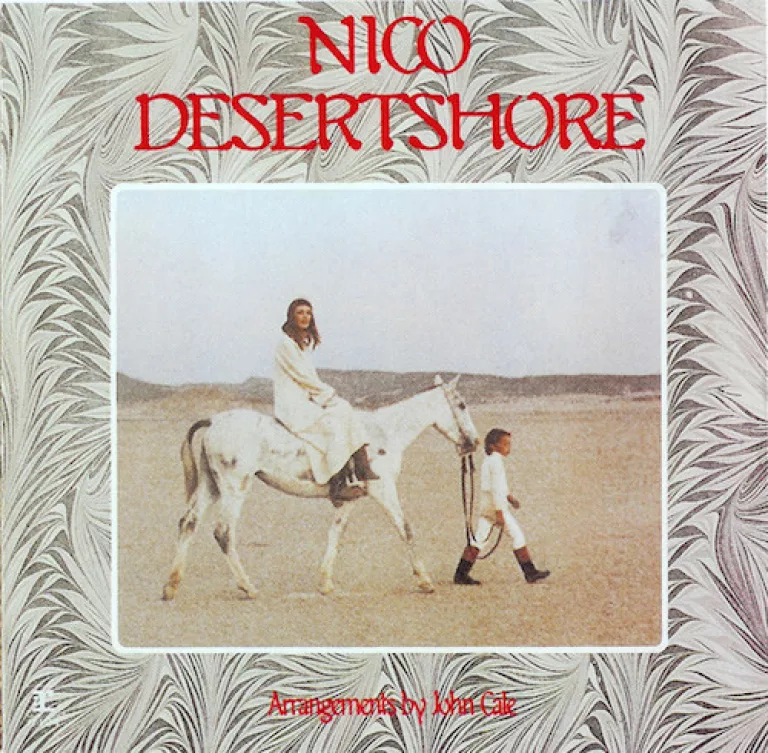 Desert Shore