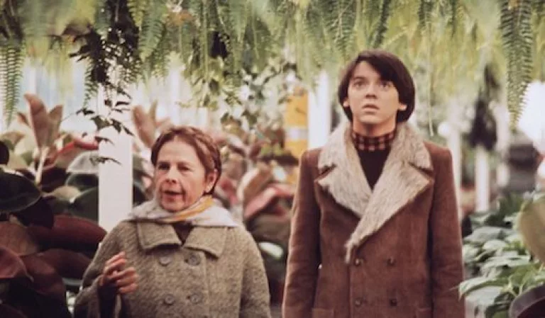 Harold & Maude