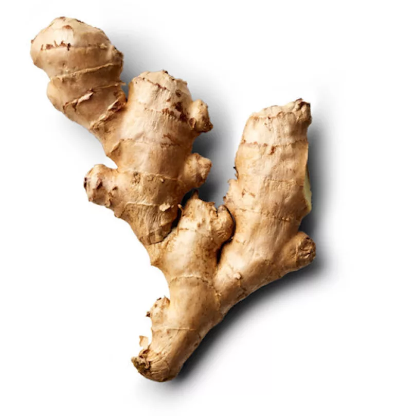 Ginger