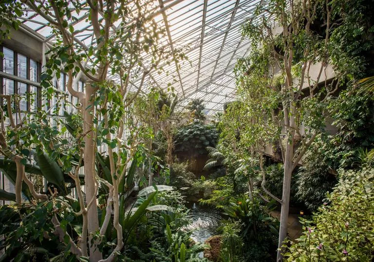 Tropical plants that I have ordered off Etsy,and then install into our garden. (Best part about living in Florida!)