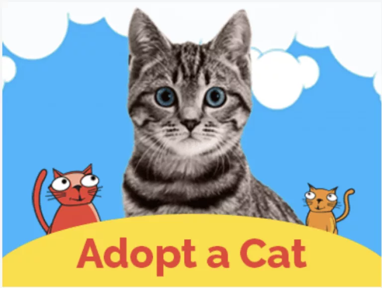 Extra time with our cat, Charm