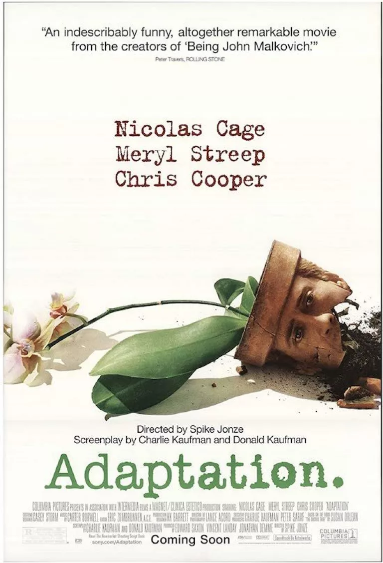 Adaptation