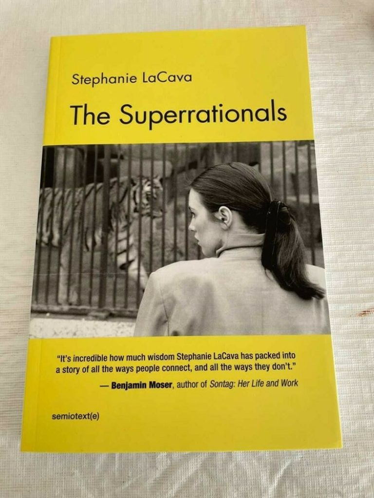 Little Shards of Story: In Conversation with Stephanie LaCava and Chris Kraus