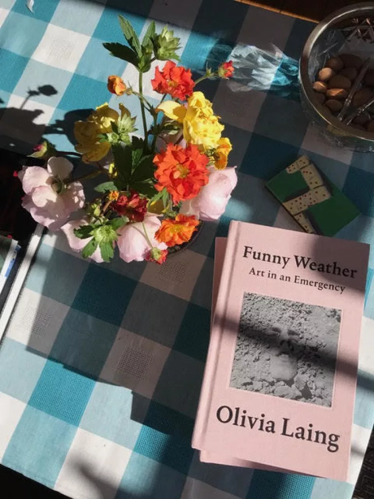 The Isolation Interviews - Olivia Laing