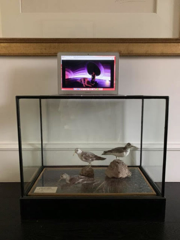 The Isolation Interviews - Simone Rocha on Violet Book Online (en-GB)