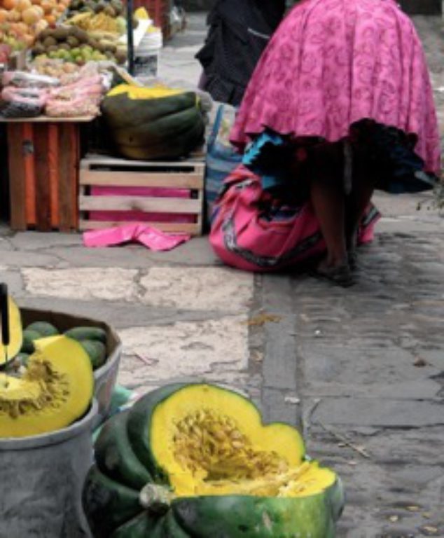 Peru on Violet Book Online (en-GB)