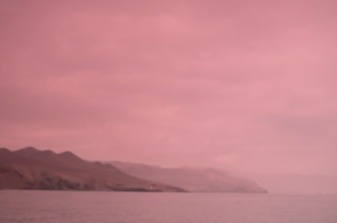 Peru on Violet Book Online (en-GB)