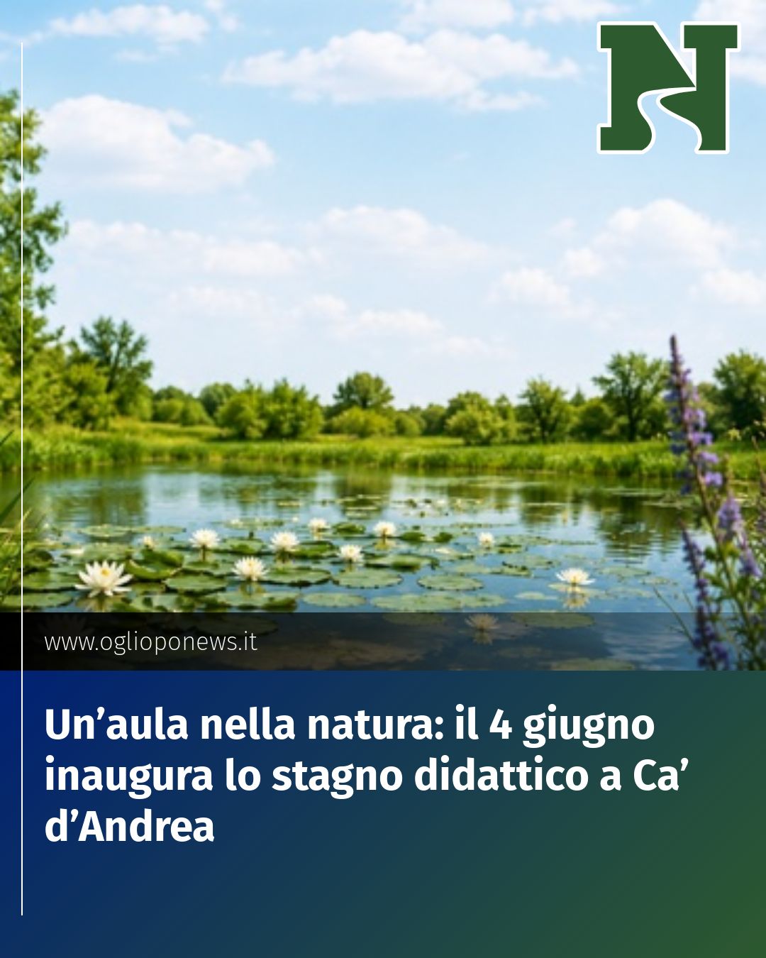 Post Instagram @redazione@oglioponews.it: Un’aula nella natura: il 4 giugno inaugura lo stagno didattico a Ca’ d’Andrea...
