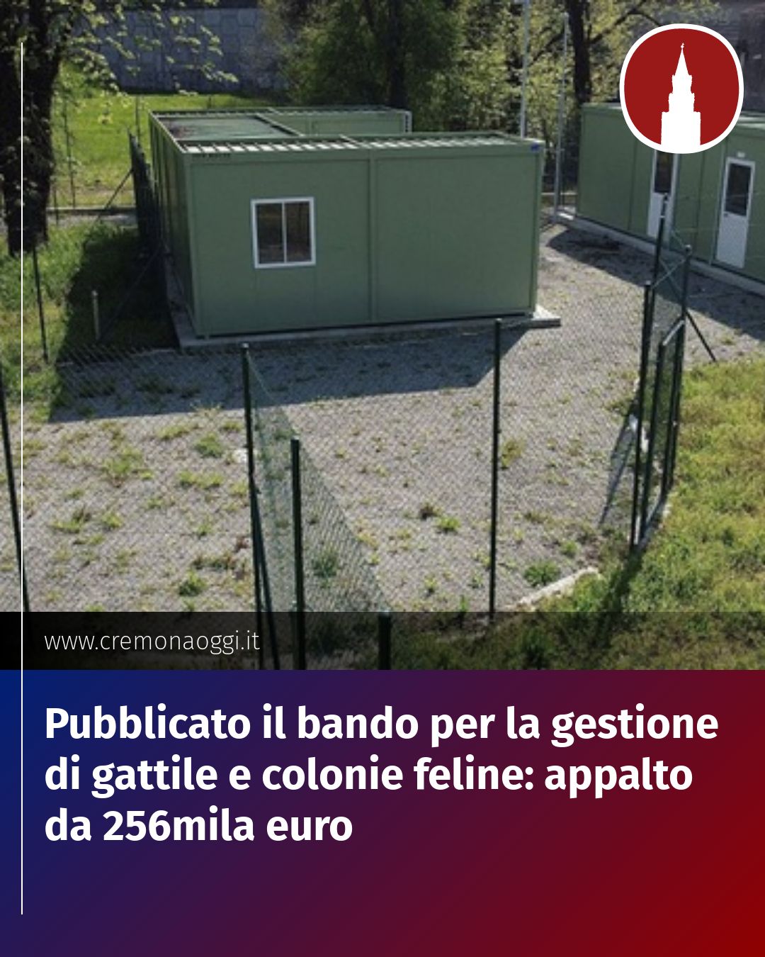 Post Instagram @Cremona_Oggi: Pubblicato il bando per la gestione di gattile e colonie feline: appalto da 256mila euro...