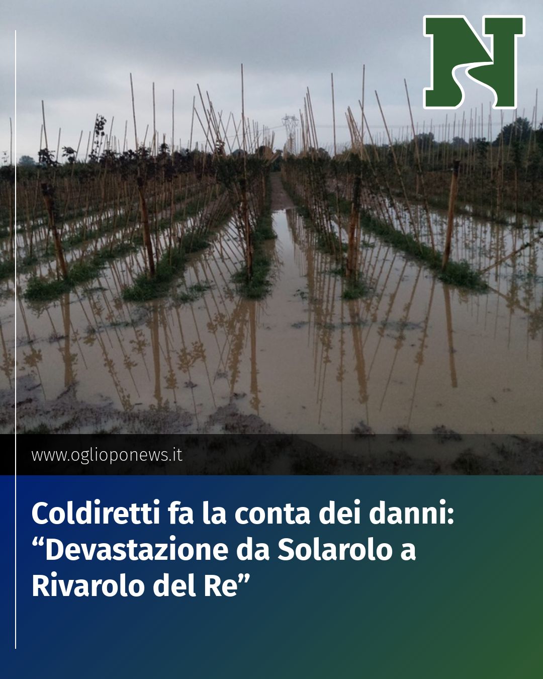 Post Instagram @redazione@oglioponews.it: Coldiretti fa la conta dei danni: “Devastazione da Solarolo a Rivarolo del Re”...