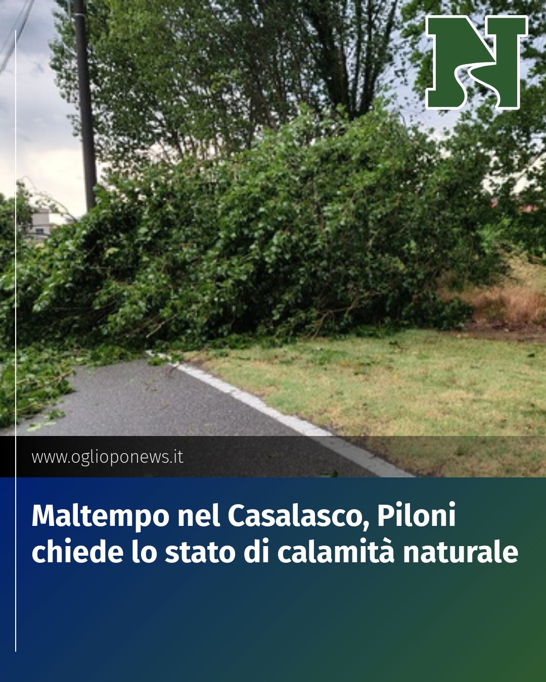 Post Instagram @redazione@oglioponews.it: Maltempo nel Casalasco, Piloni chiede lo stato di calamità naturale...