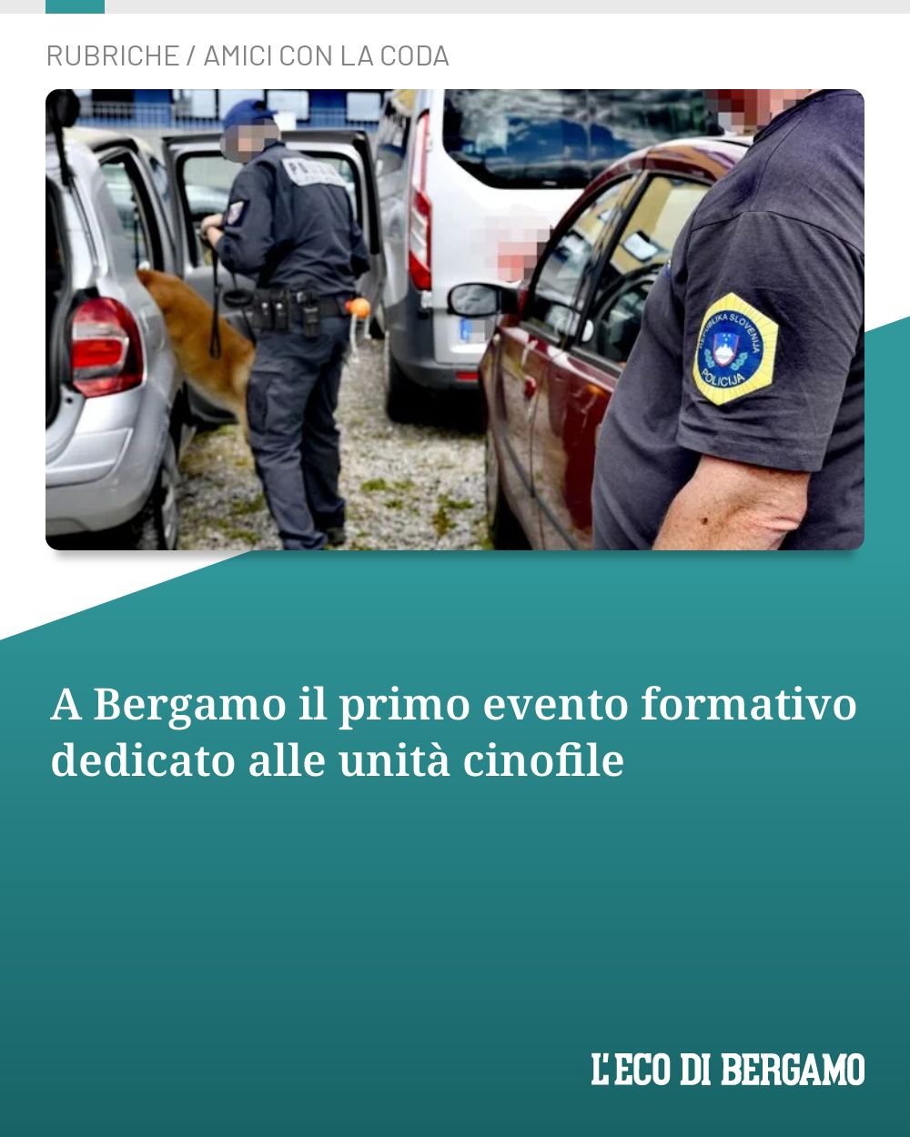 Post Instagram @ecodibergamo: A Bergamo il primo evento formativo dedicato alle unità cinofile...