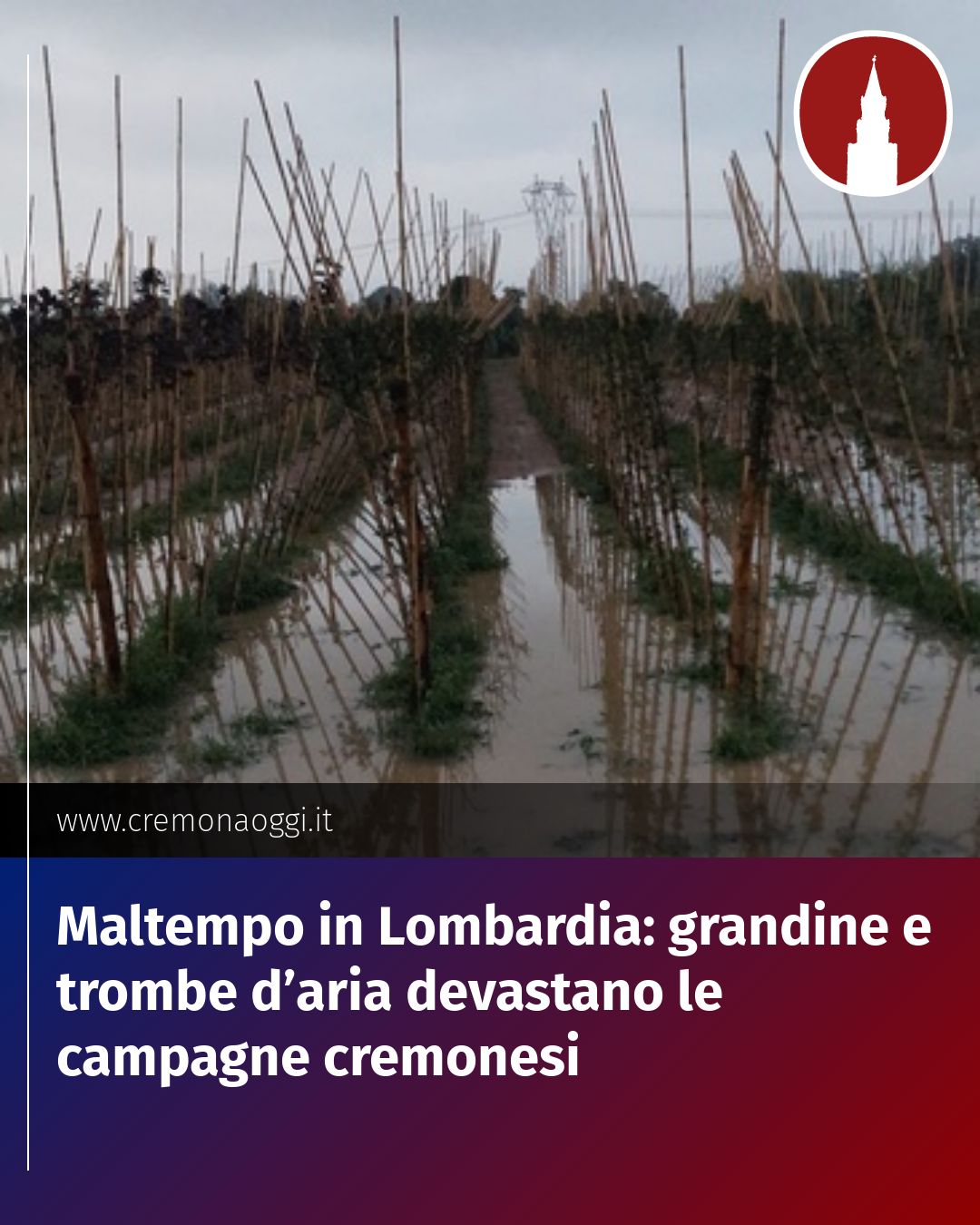 Post Instagram @Cremona_Oggi: Maltempo in Lombardia: grandine e trombe d’aria devastano le campagne cremonesi...