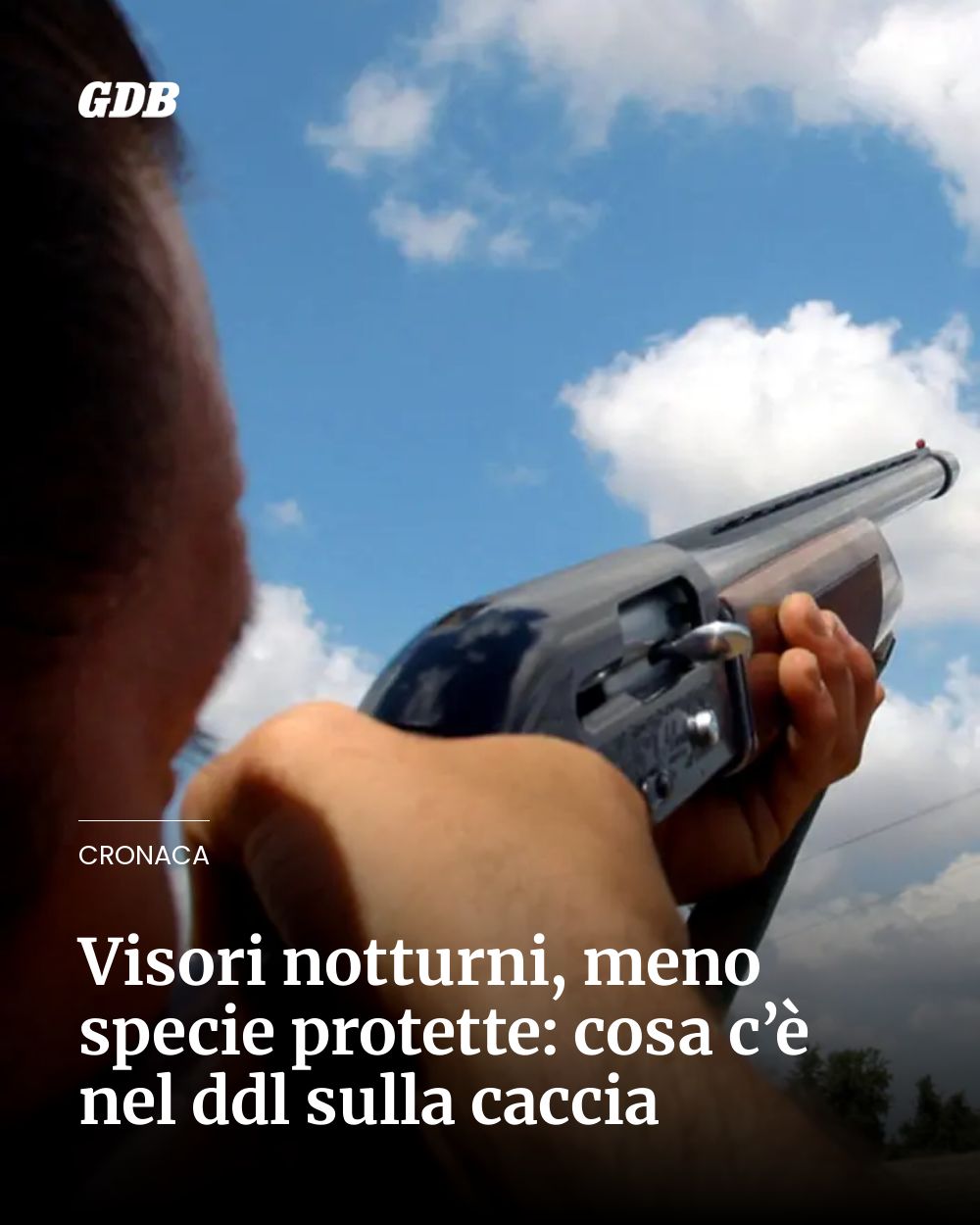 Post Instagram @giornaledibrescia: Visori notturni, meno specie protette: cosa c’è nel ddl sulla caccia...