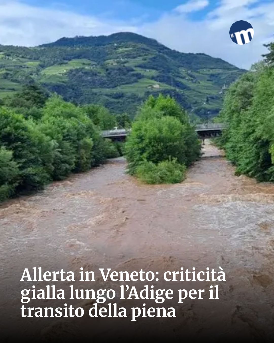 Post Instagram @socialbeat.test: Allerta in Veneto: criticità gialla lungo l’Adige per il transito della piena...