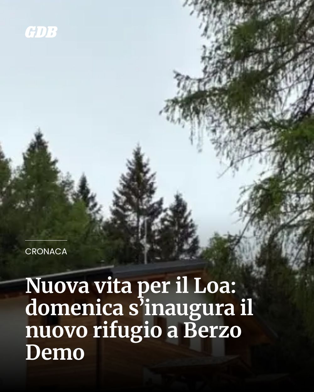 Post Instagram @giornaledibrescia: Nuova vita per il Loa: domenica s’inaugura il nuovo rifugio a Berzo Demo...