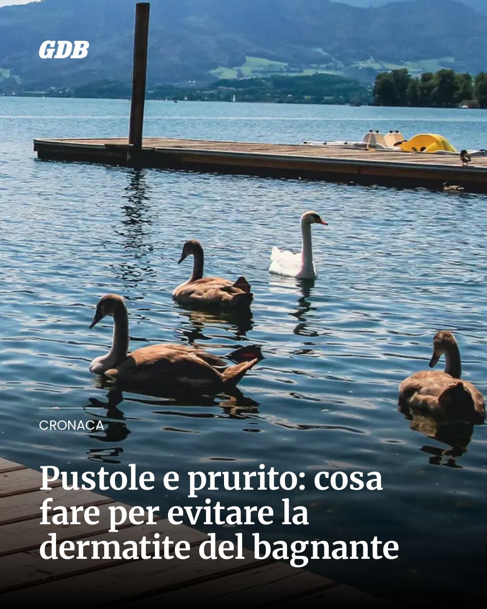 Post Instagram @giornaledibrescia: Pustole e prurito: cosa fare per evitare la dermatite del bagnante...