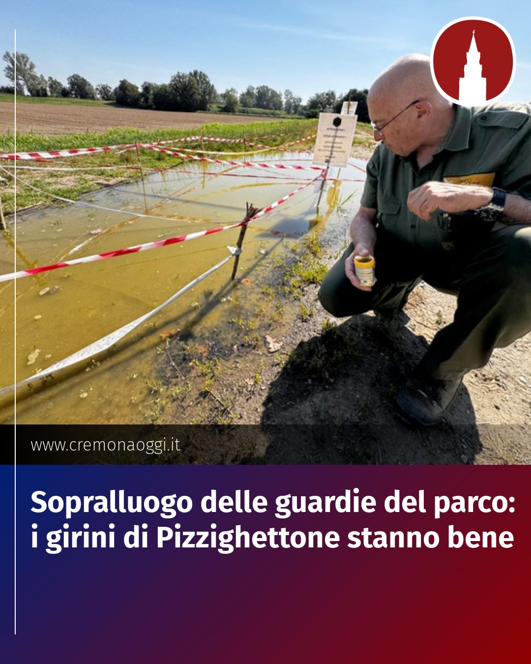 Post Instagram @Cremona_Oggi: Sopralluogo delle guardie del parco: i girini di Pizzighettone stanno bene...