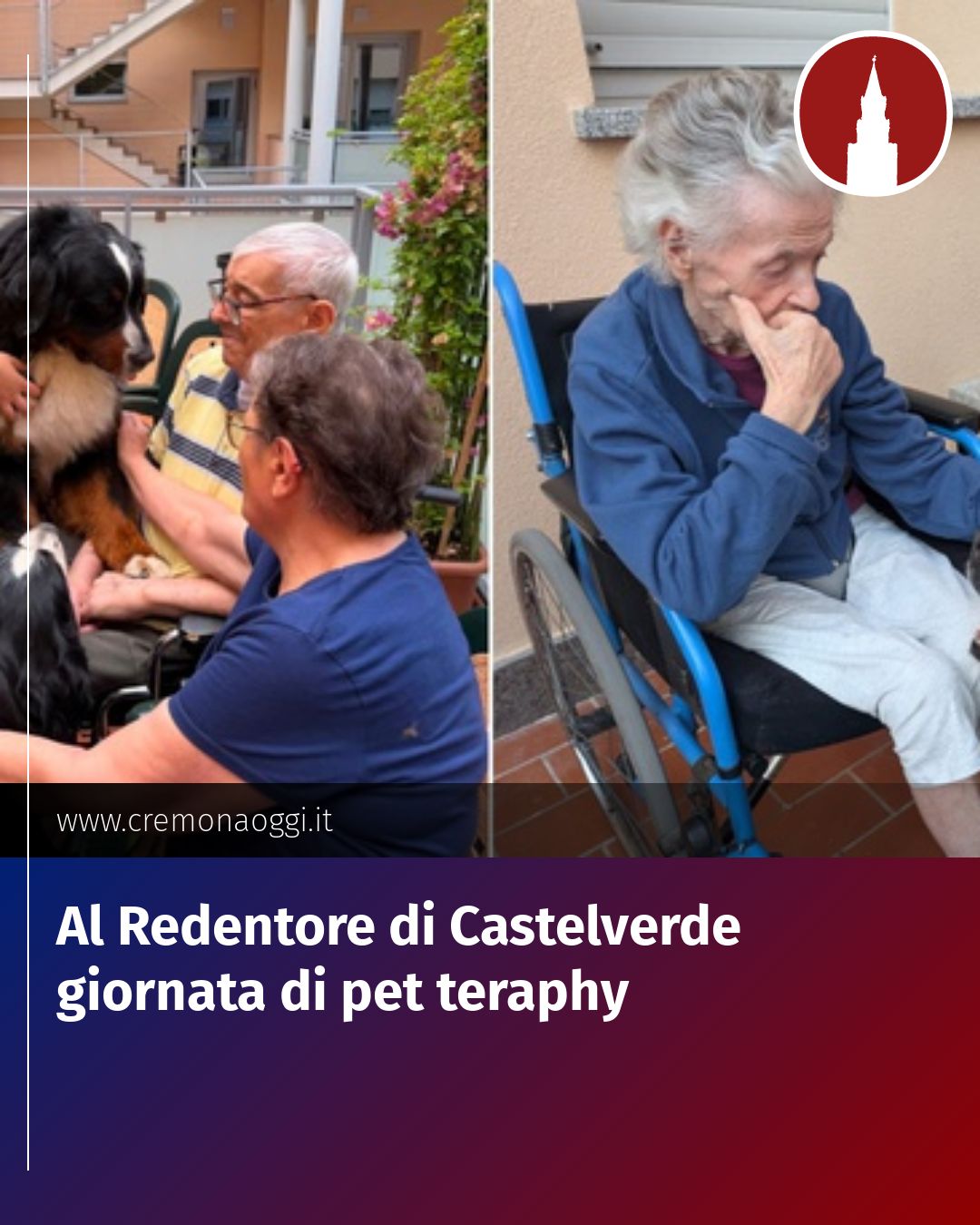 Post Instagram @Cremona_Oggi: Al Redentore di Castelverde giornata di pet teraphy...