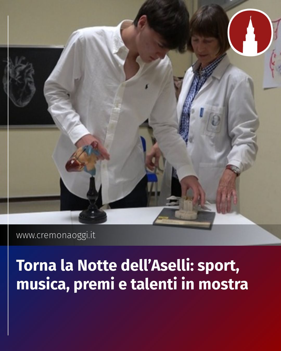Post Instagram @Cremona_Oggi: Torna la Notte dell’Aselli: sport, musica, premi e talenti in mostra...