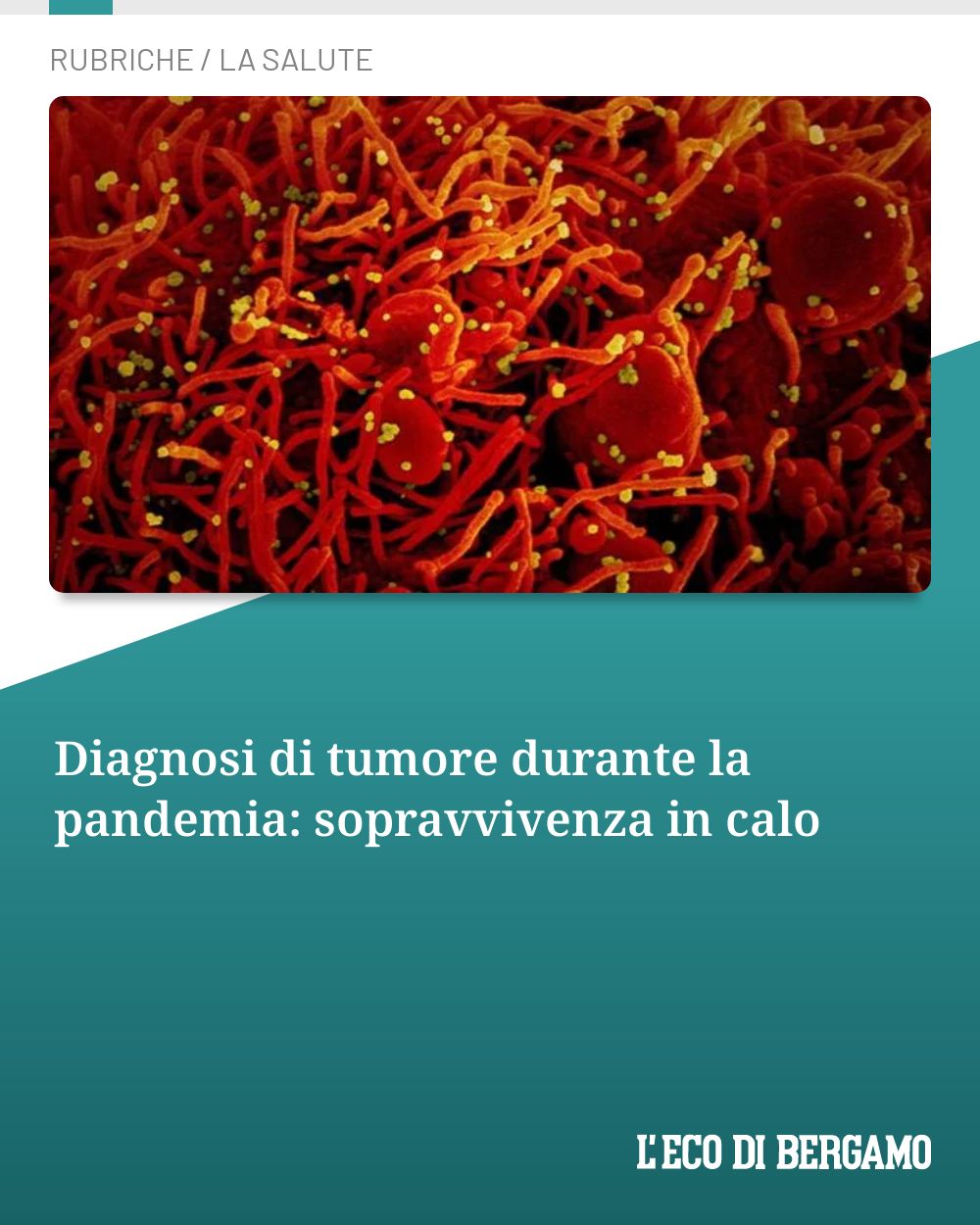 Post Instagram @ecodibergamo: Diagnosi di tumore durante la pandemia: sopravvivenza in calo...