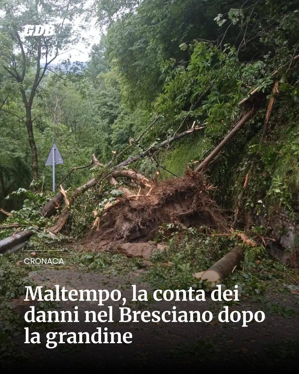 Post Instagram @giornaledibrescia: Maltempo, la conta dei danni nel Bresciano dopo la grandine...