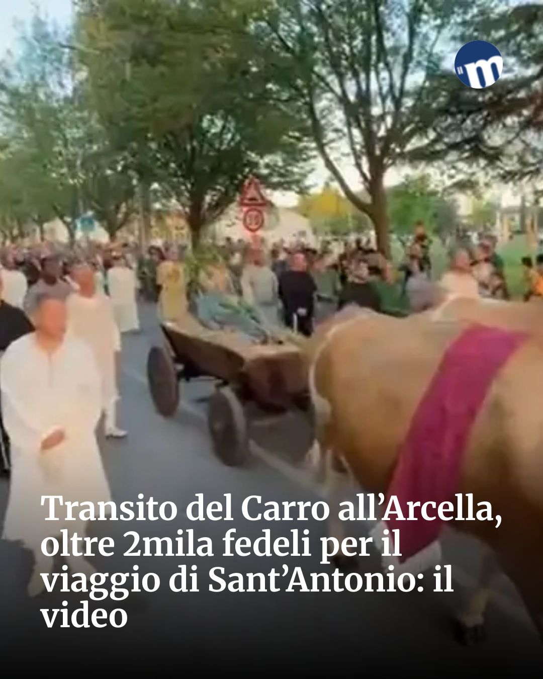 Post Instagram @socialbeat.test: Transito del Carro all’Arcella, oltre 2mila fedeli per il viaggio di Sant’Antonio: il video...