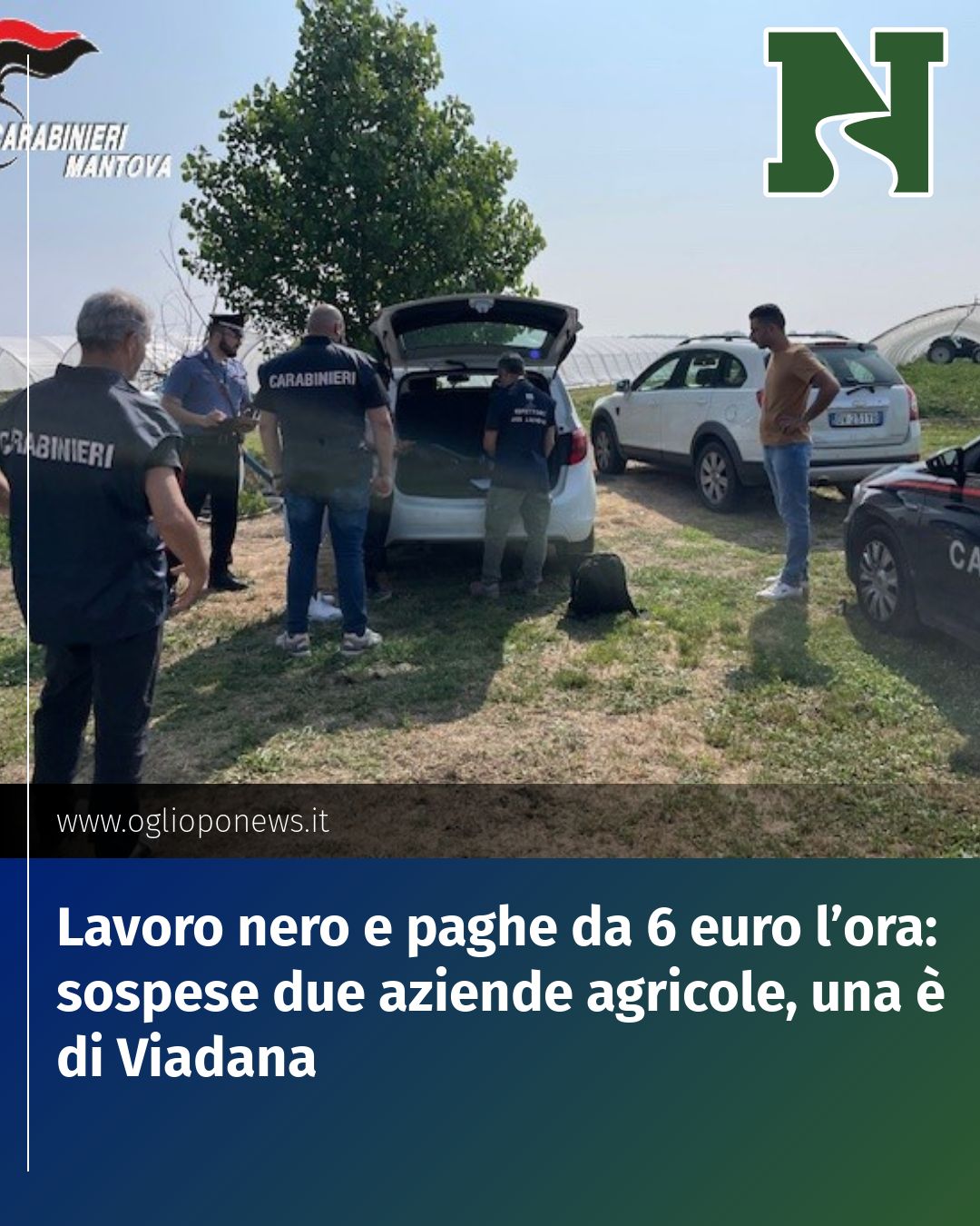 Post Instagram @redazione@oglioponews.it: Lavoro nero e paghe da 6 euro l’ora: sospese due aziende agricole, una è di Viadana...
