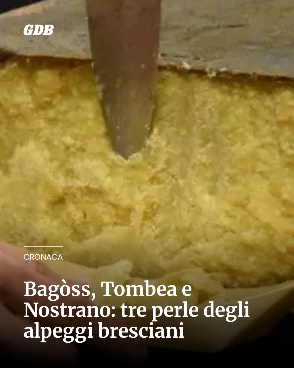 Post Instagram @giornaledibrescia: Bagòss, Tombea e Nostrano: tre perle degli alpeggi bresciani...