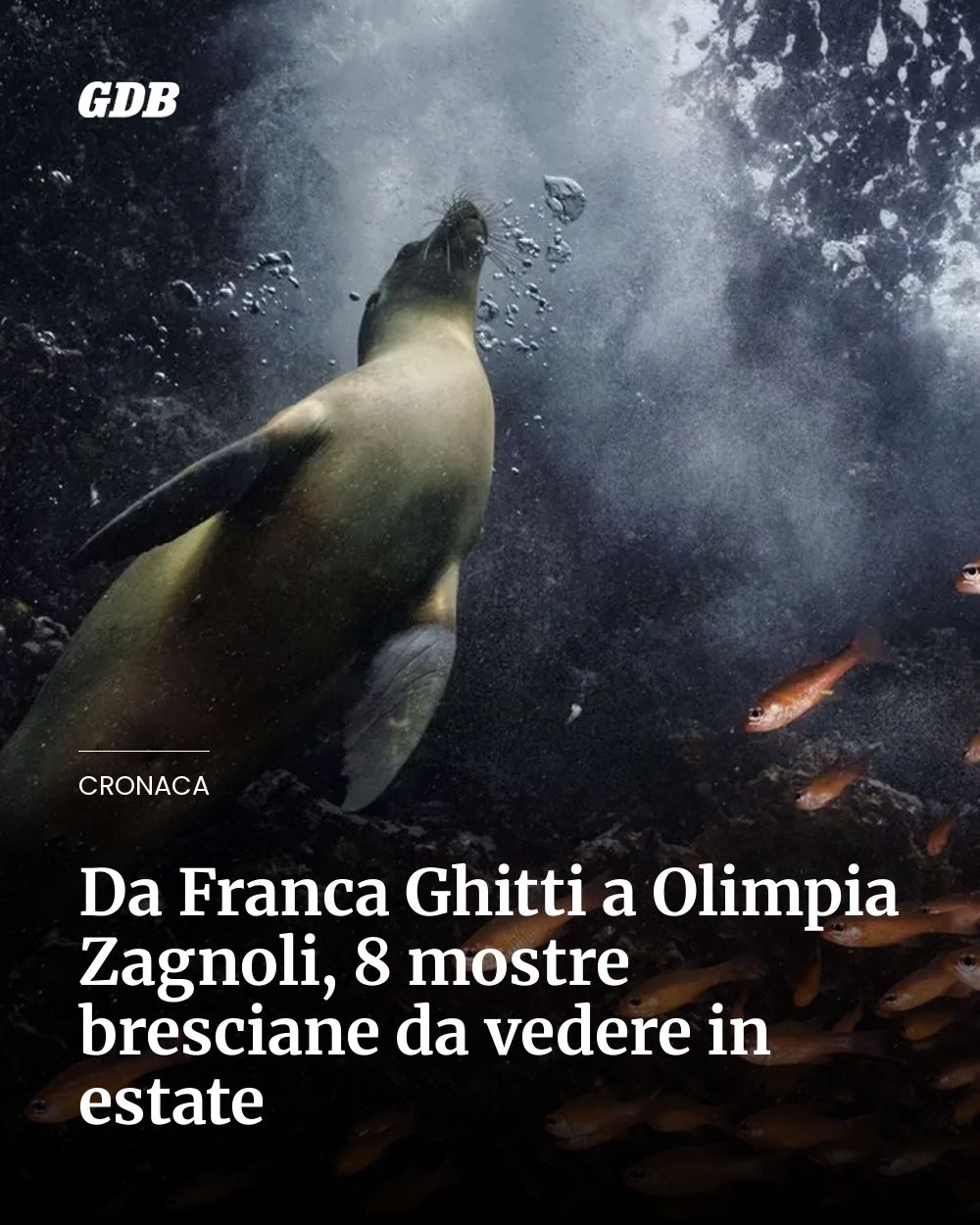 Post Instagram @giornaledibrescia: Da Franca Ghitti a Olimpia Zagnoli, 8 mostre bresciane da vedere in estate...