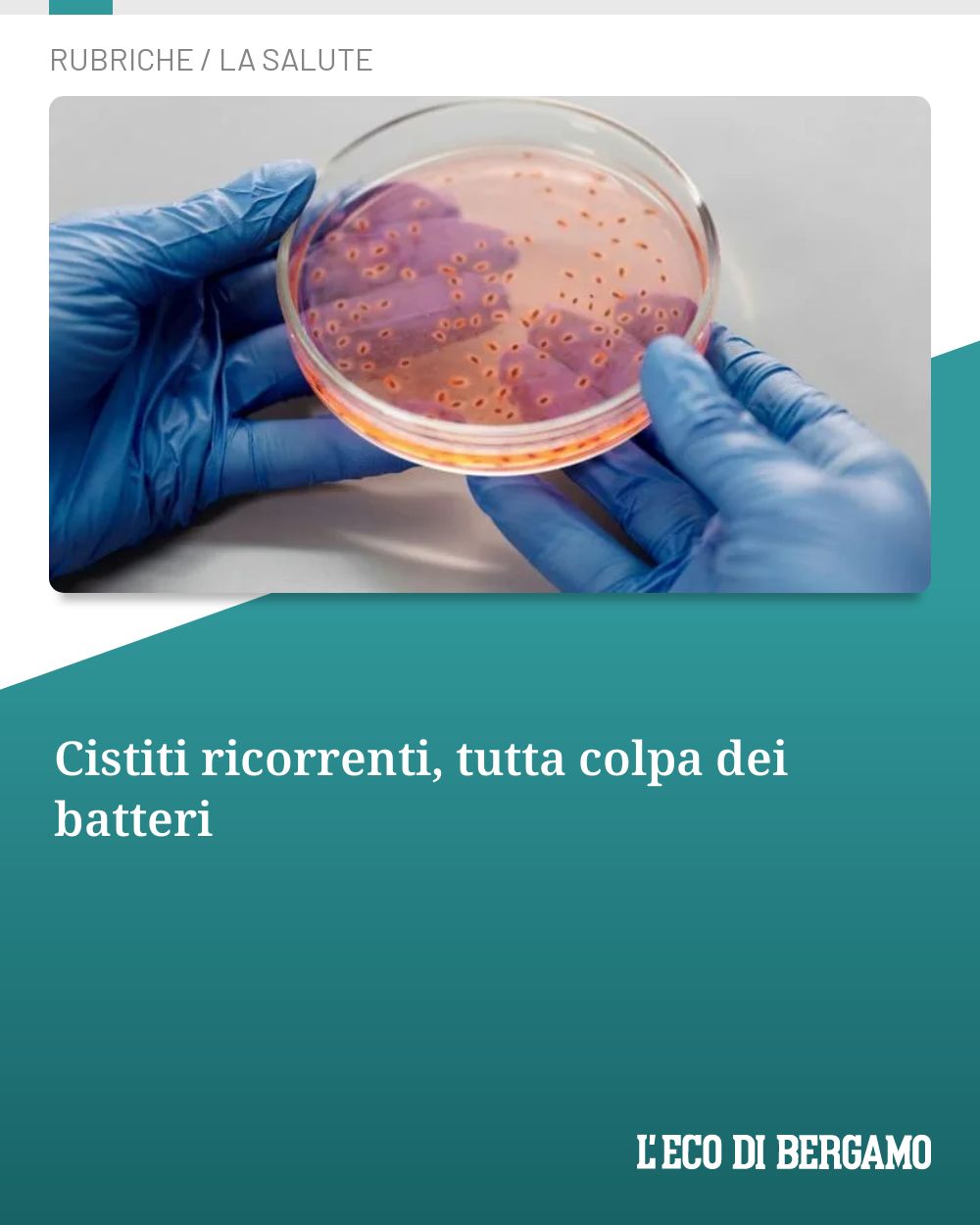 Post Instagram @ecodibergamo: Cistiti ricorrenti, tutta colpa dei batteri...