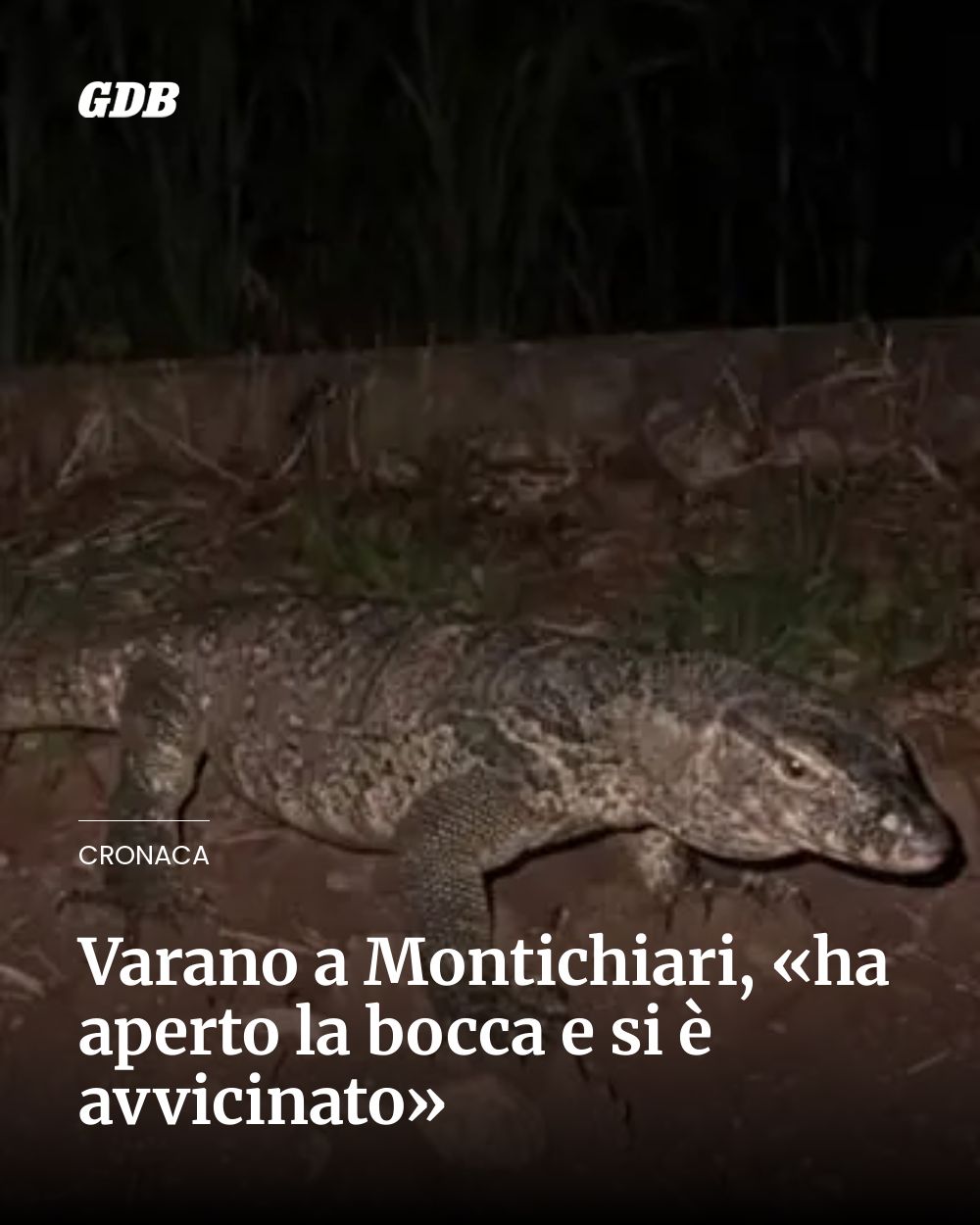Post Instagram @giornaledibrescia: Varano a Montichiari, «ha aperto la bocca e si è avvicinato»...