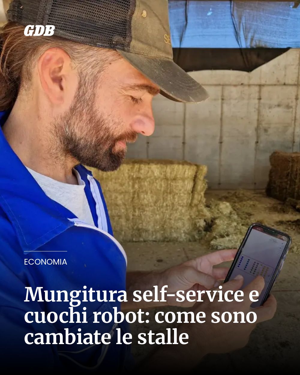 Post Instagram @giornaledibrescia: Mungitura self-service e cuochi robot: come sono cambiate le stalle...