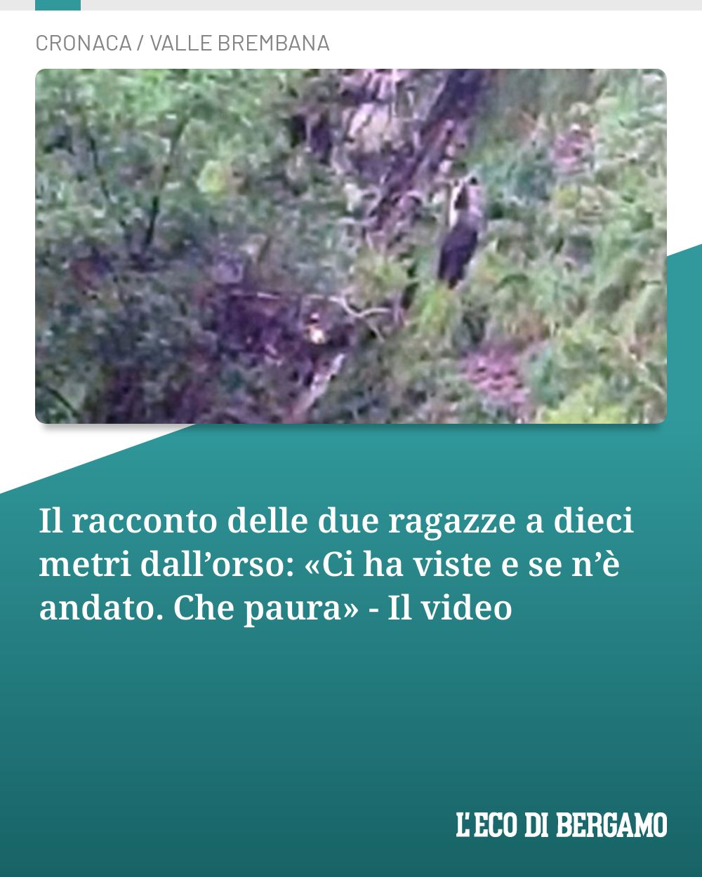 Post Instagram @ecodibergamo: Il racconto delle due ragazze a dieci metri dall’orso: «Ci ha viste e se n’è andato. Che paura» - Il